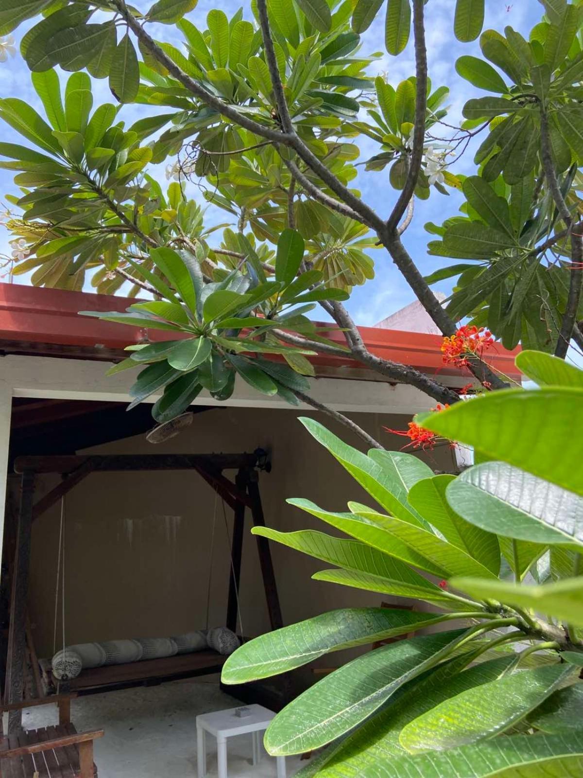 Cerulean View Residence Hanimaadhoo Island Extérieur photo