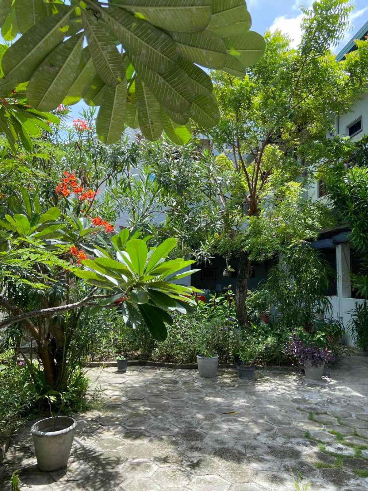 Cerulean View Residence Hanimaadhoo Island Extérieur photo
