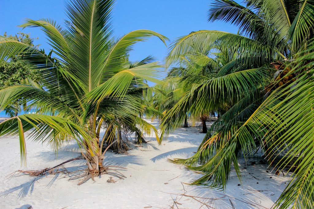 Cerulean View Residence Hanimaadhoo Island Extérieur photo