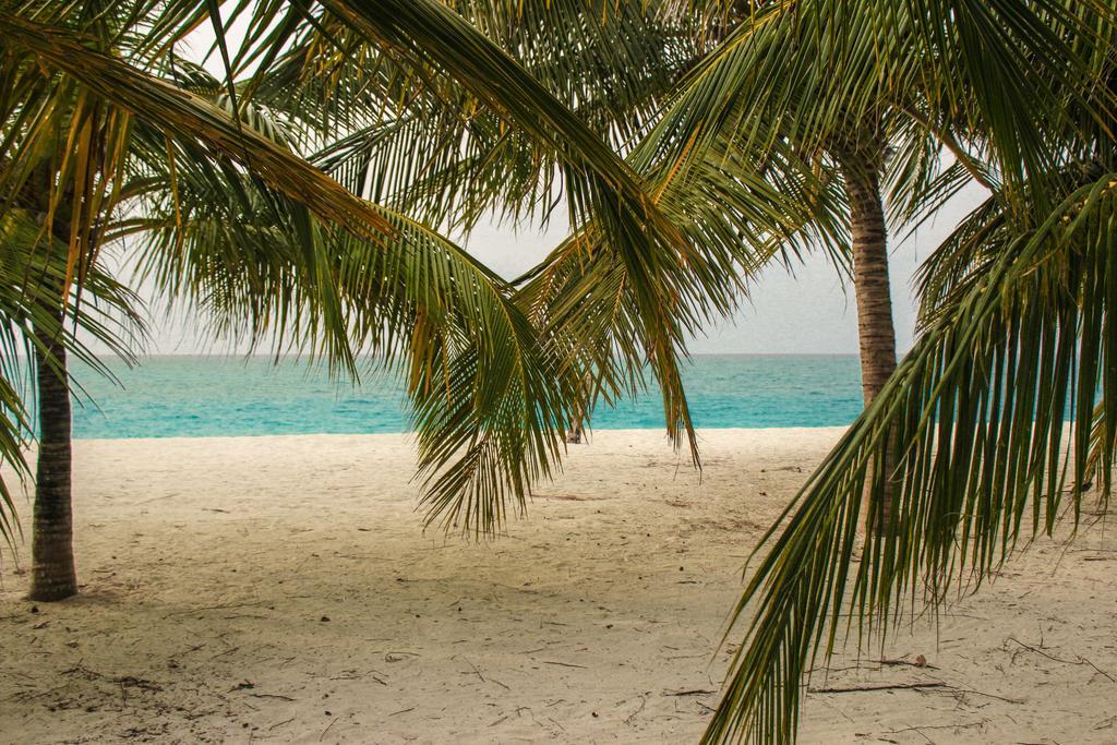 Cerulean View Residence Hanimaadhoo Island Extérieur photo