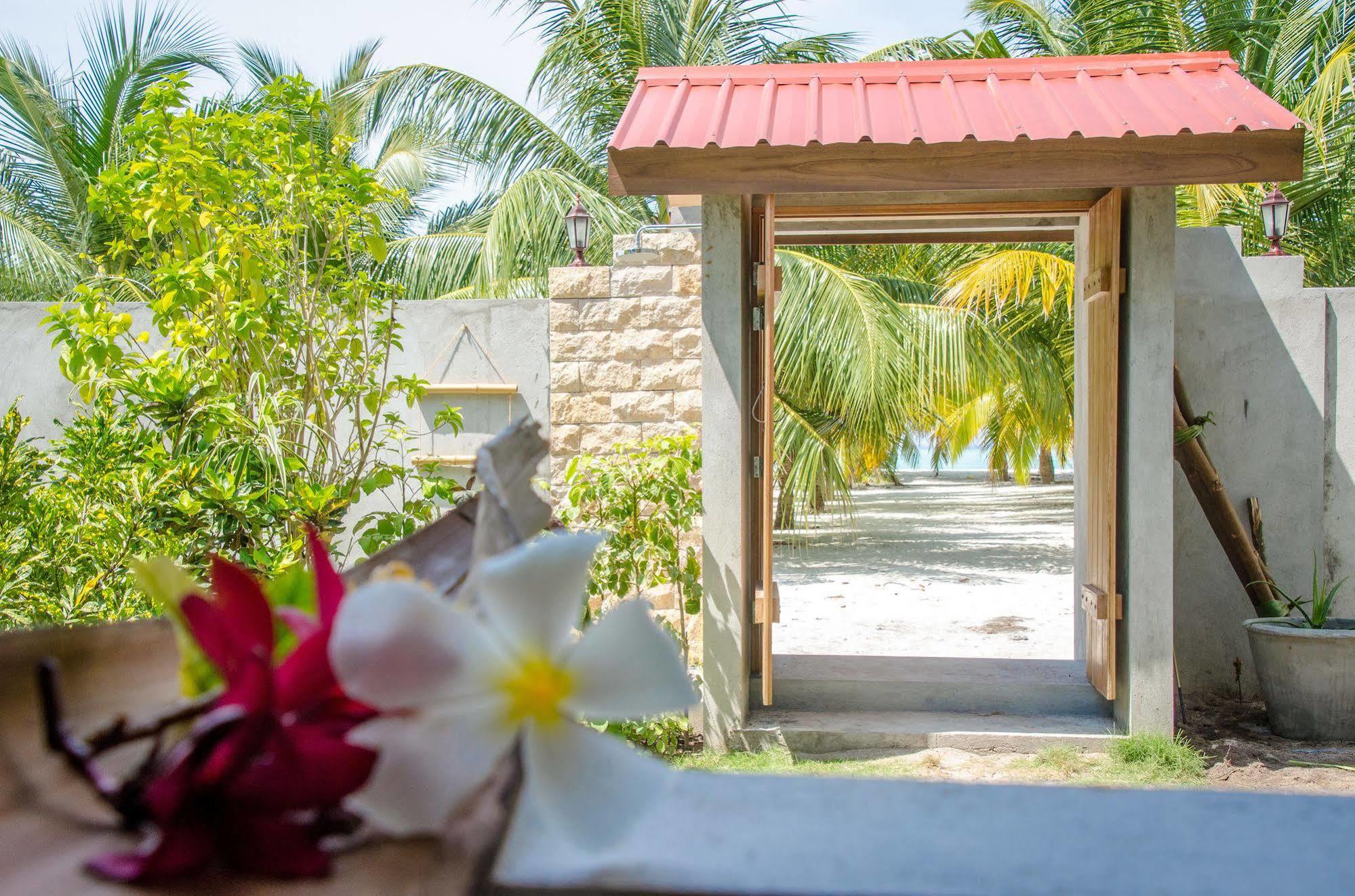 Cerulean View Residence Hanimaadhoo Island Extérieur photo